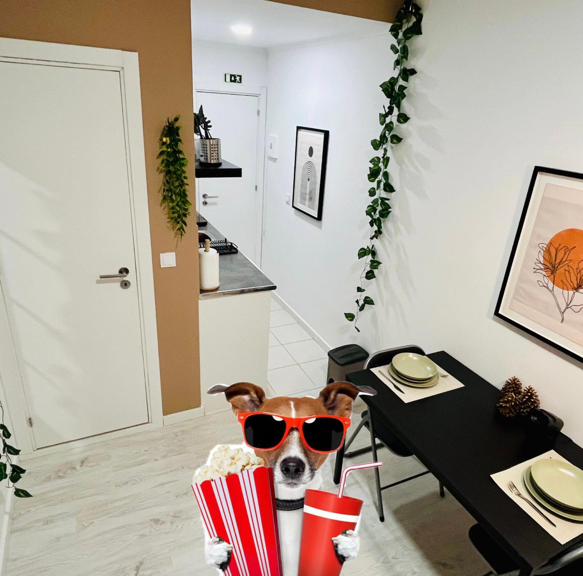 Apartment Cine